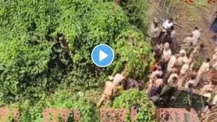 Elusive leopard spotted at Bengaluru residential complex captured