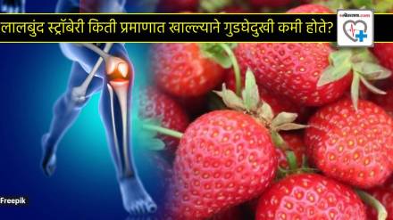 Strawberry For Knee Pain Eat Winter Special Fruits To Reduce Burning Doctor Tells Real Benefits Of Berries For Pain in Joints Strawberry For Knee Pain Eat Winter Special Fruits To Reduce Burning Doctor Tells Real Benefits Of Berries For Pain in Joints