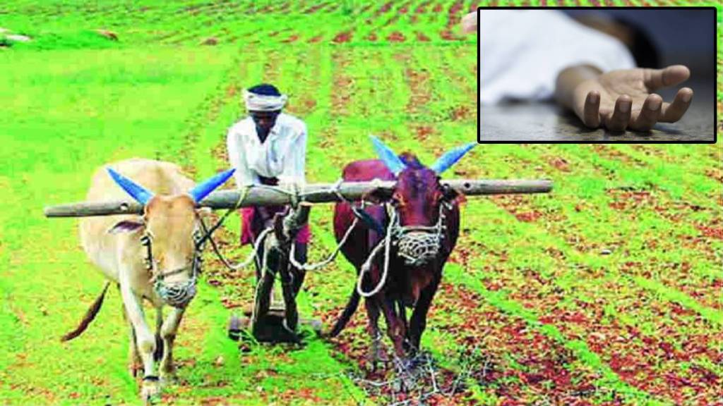 farmers suicide Chandrapur farmers suicide Chandrapur