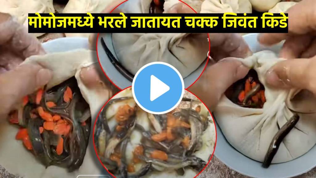 man stuffs momo with live worms enjoy steaming hot momos viral video