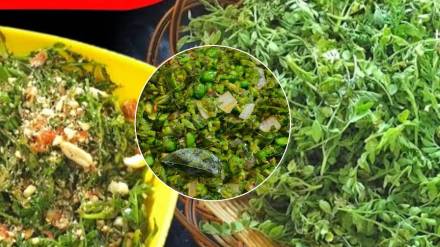 Harbharyachi bhaji recipe in marathi bhaji marathi recipe Harbharyachi bhaji recipe in marathi bhaji marathi recipe