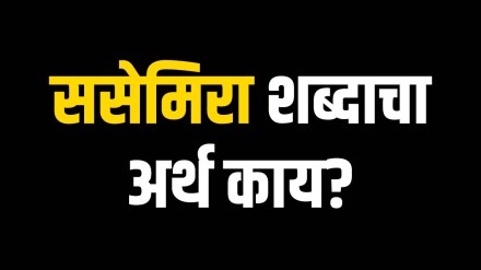 What is the word meaning?