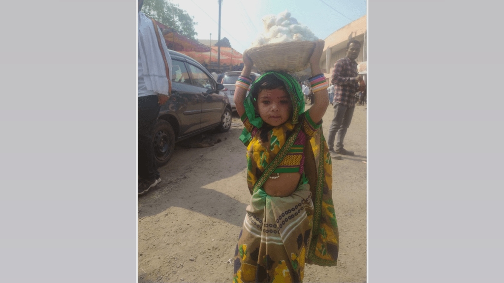 little girl, Shivani Vani, participated Elgar Morcha buldhana, demanding cotton get a good price little girl, Shivani Vani, participated Elgar Morcha buldhana, demanding cotton get a good price