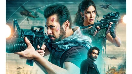 Tiger 3 Box Office Collection Day 8 :