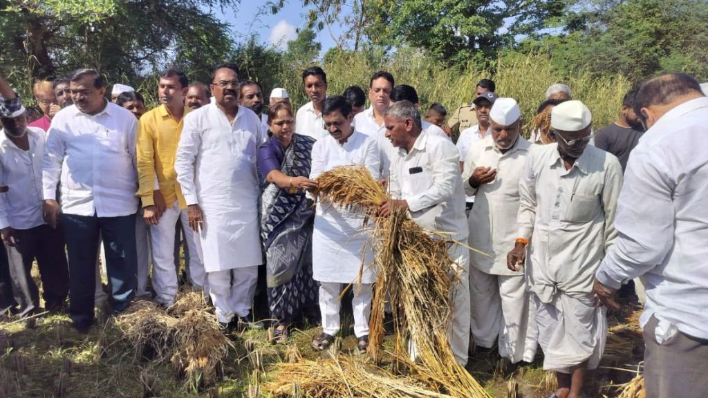 Vinayak Rauts criticism during agricultural damage inspection tour in Igatpuri