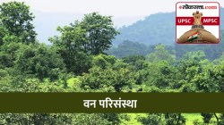 UPSC-MPSC : वन परिसंस्था म्हणजे काय? या परिसंस्थेची वैशिष्ट्ये कोणती?