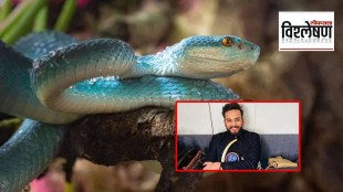 elvis yadav drug case