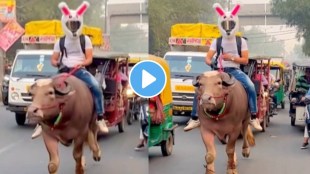 man came road with a buffalo after petrol became expensive