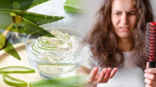 aloe-vera-for-hair-loss