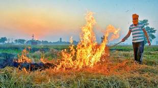 supreme court order to stop stubble burning