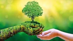 एमपीएससी मंत्र : वनसेवा मुख्य परीक्षा पेपर-२ – निसर्ग संवर्धन