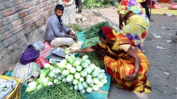 चवदार भरीत पाहिजे? चला, जळगावला… भरिताच्या वांग्यांची रोज २५ टन आवक, भरीत पार्ट्यांमुळे मागणीत वाढ