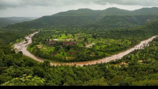 palghar district trees cut fot gargai water project, four and half lakh trees to be cut in wada