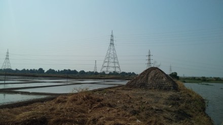 salt production affected due to rains, vasai virar salt production affected due to rains