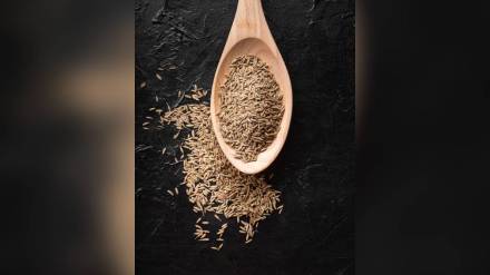 cumin seeds, price, market