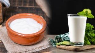 Which Is More Helpful For Weight Loss Curds Or Buttermilk Weight Loss At Home