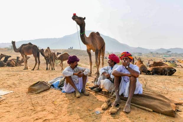 Pushkar Fair