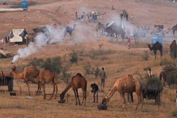 Pushkar Fair