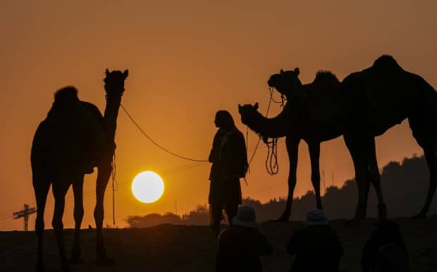 Pushkar Fair