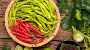 Green Chilli Or Red Chilli Which One Is Healthier Green Chilli Is One Of The Best Remedies For Diabetes