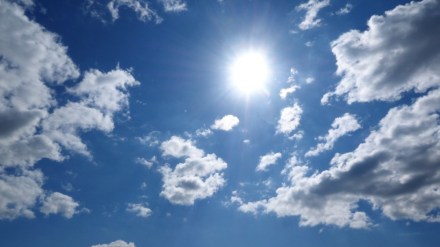 Hot Pune