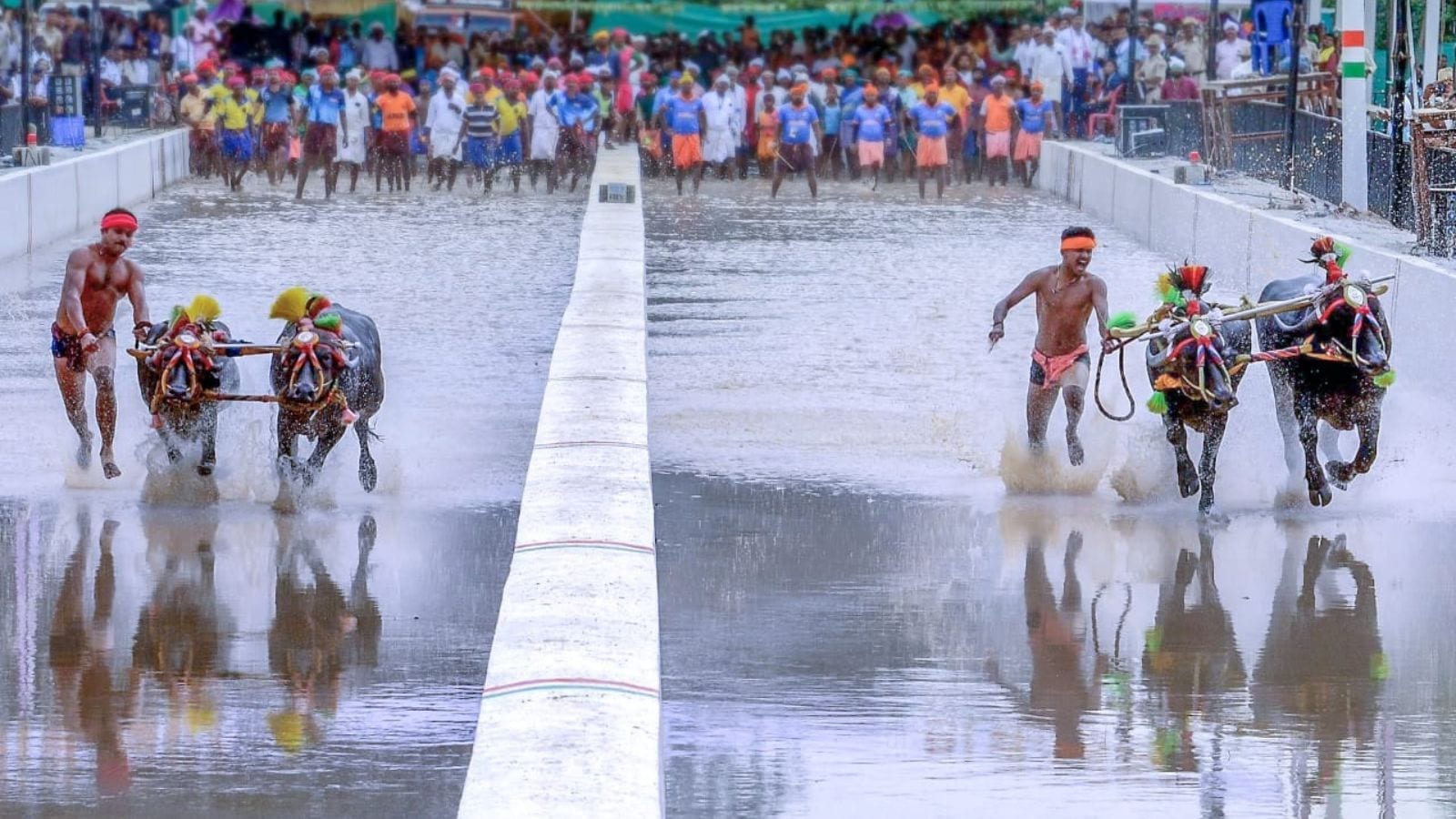 Kambala race Bengaluru
