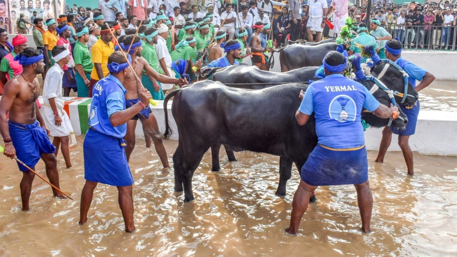 Kambala race Bengaluru