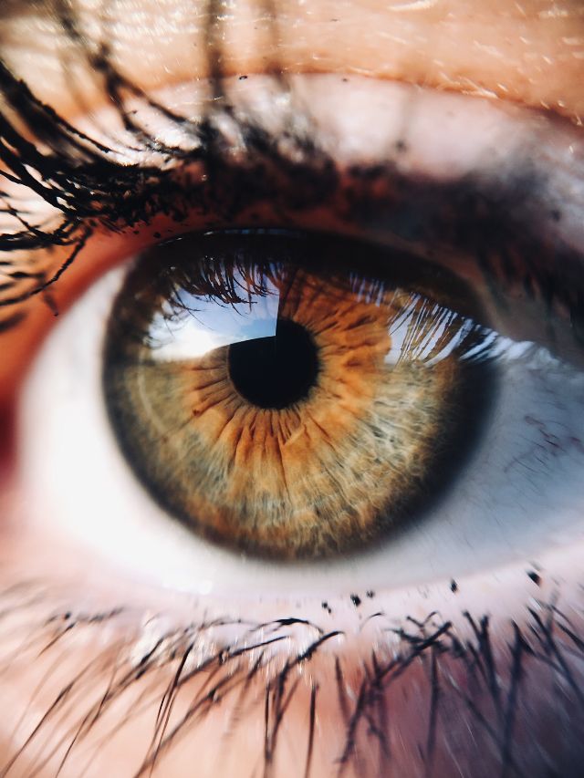 best foods for eye health tips gujarati news,