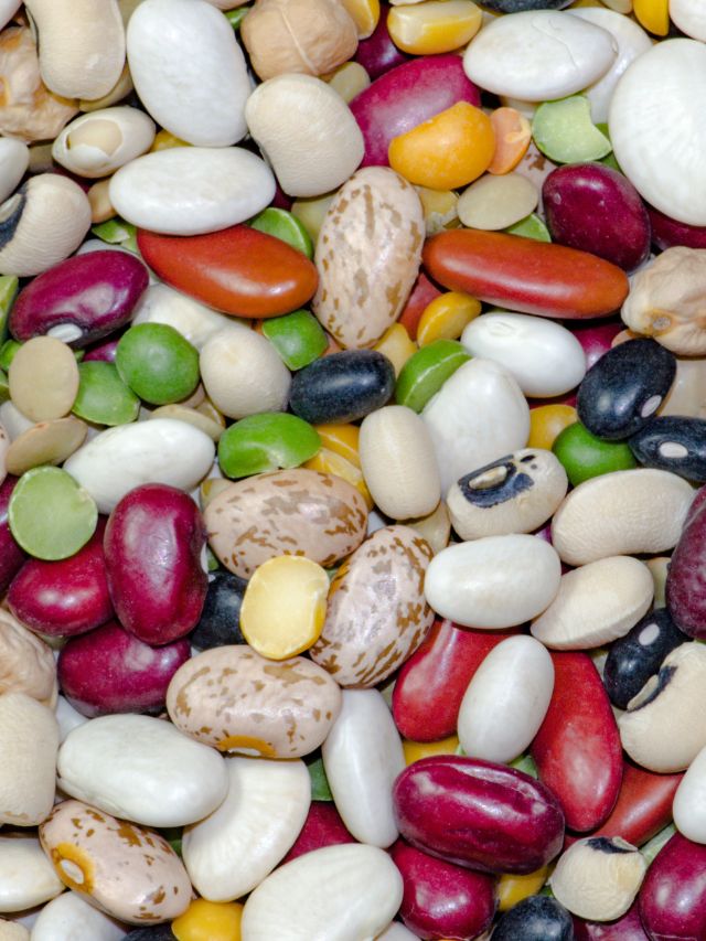 best foods for eye health tips gujarati news