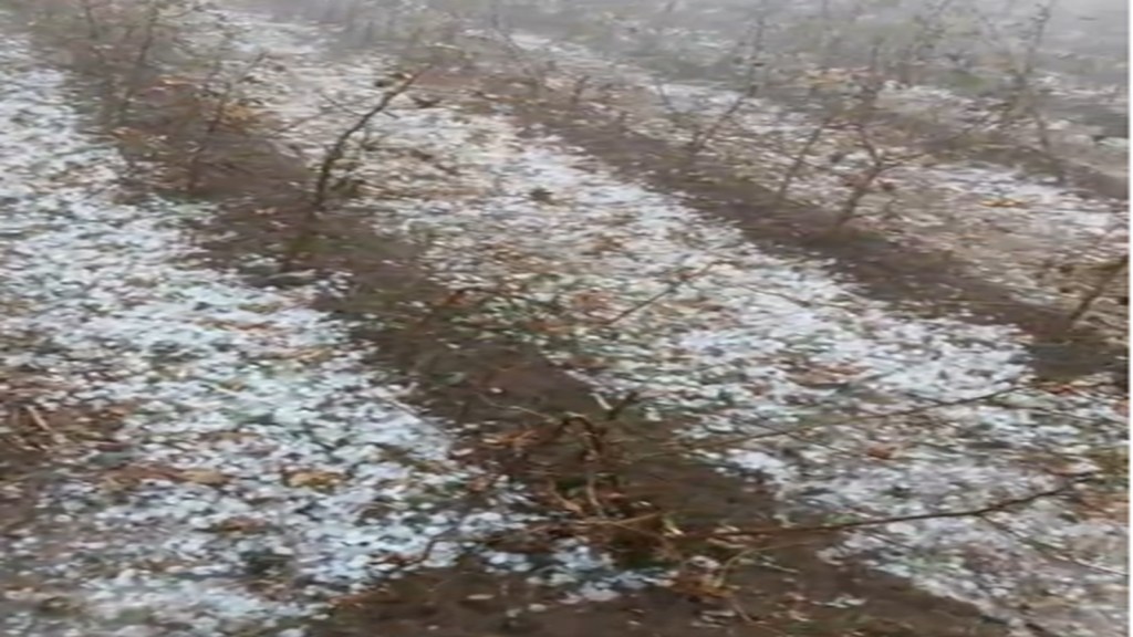 Gujarat Unseasonal rain | gujarat snowfall | Gujarat weather | IMD forecast