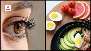 best foods for eye health tips gujarati news