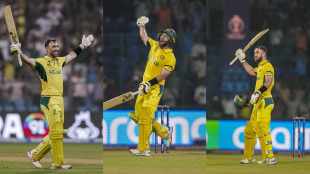 glenn maxwell maxwell net worth