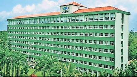 kutuhal information about central marine fisheries research institute zws