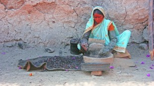 memories of the flavours Dhirada to Puranpoli