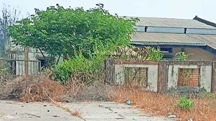 more than 160 families living in a dairy farm at dapchari in palghar get notices to vacate land