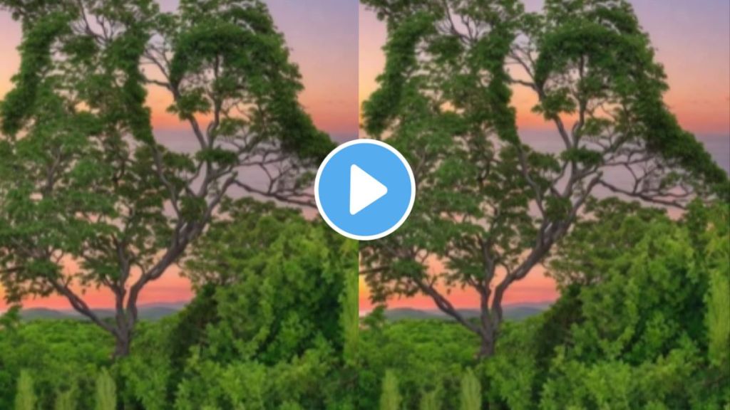Optical Illusion