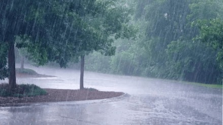 Possibility of rain some parts maharashtra next few days