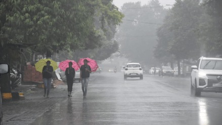 Sunday Monday, Other cities Vidarbha nagpur received heavy rains hail