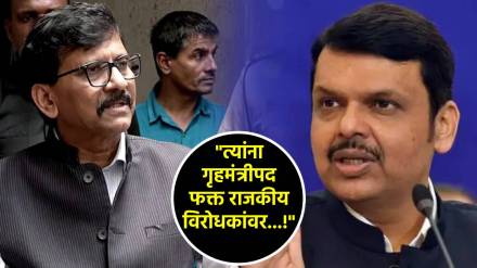 sanjay raut devendra fadnavis (7)