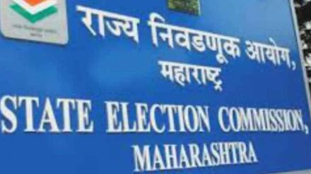 Local Self-Government Elections
