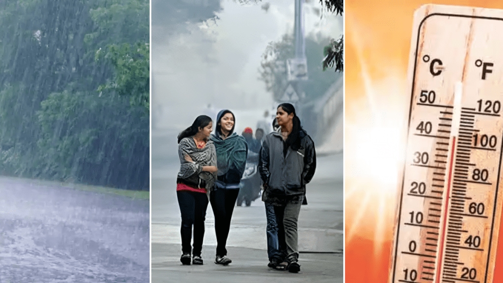 winter season temperature some areas cold, sunny rainy some districts of maharashtra