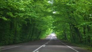 Thane district padas