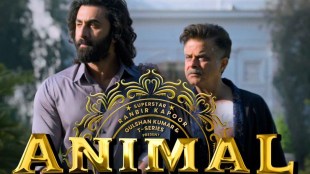 Animal Movie box office collection day 17