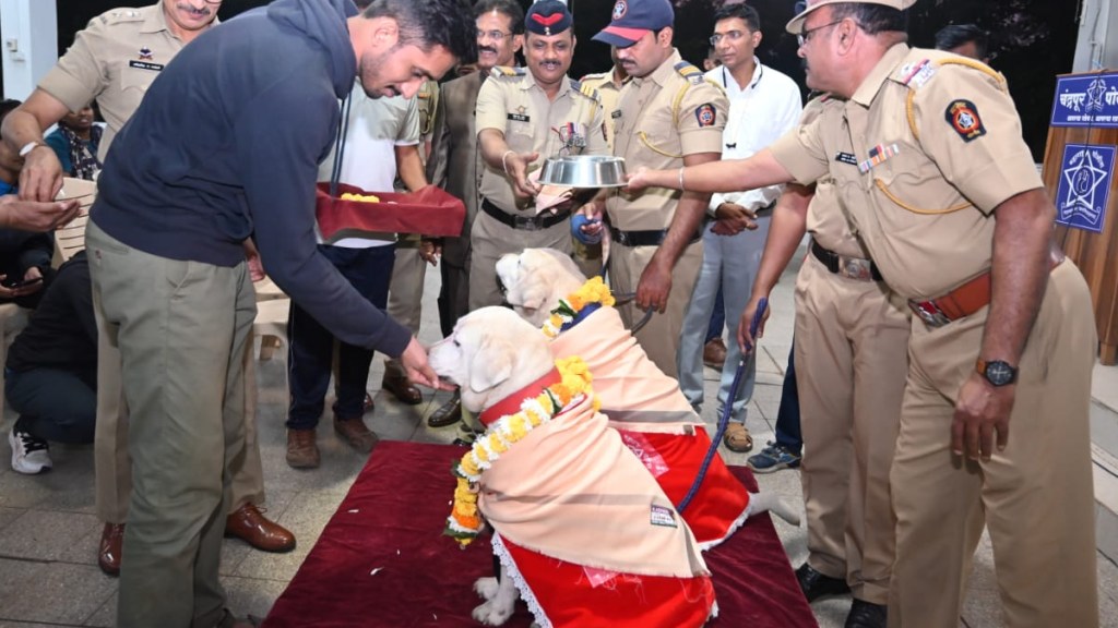 Chandrapur District Police Force retires dogs Gracie and Simba from the dog squad