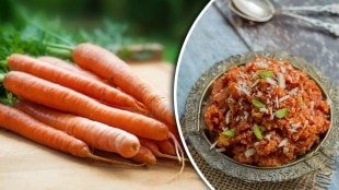 Gajar Halwa Recipe Tips