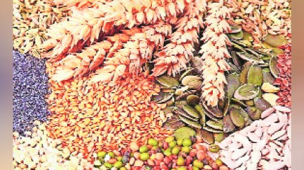 Loksatta lokshivar Drought Cereal crop National Food Security Campaign
