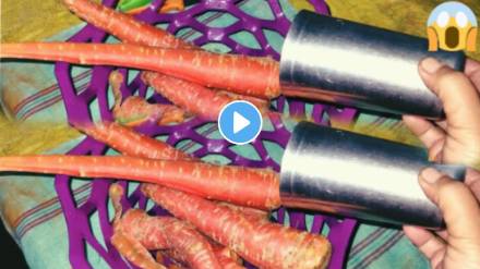 kitchen tips in marathi how to peel carrots peeling with steel glass kitchen jugaad video