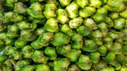 water chestnut boiling hack know how to boil singhara at home