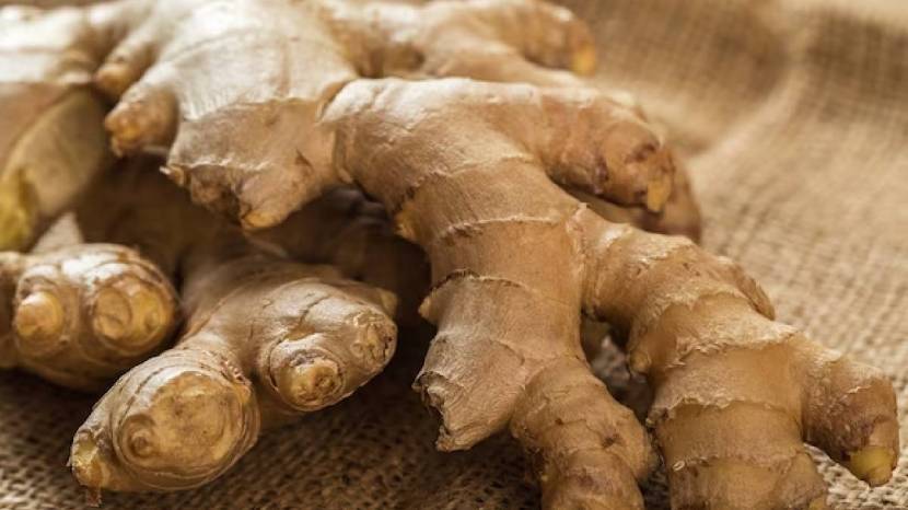 Ginger Benefits In Winter
