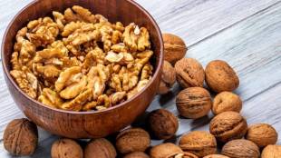 You Must Eat Walnuts In Winter Know When Should You Eat Them Lifestyle